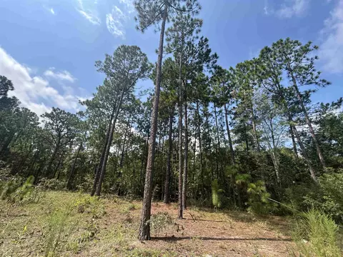 185 Legion St, Dillon, SC 29536 photo 7