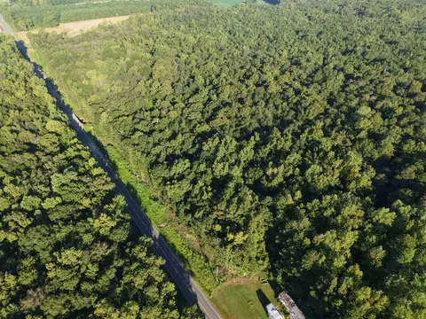 tbd Adrian Hwy, Loris, SC 29569 photo 3