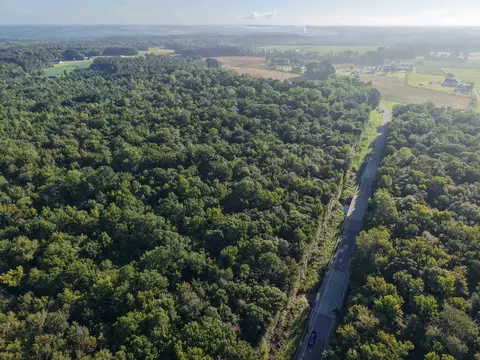 tbd Adrian Hwy, Loris, SC 29569 photo 6