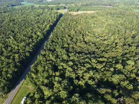 tbd Adrian Hwy, Loris, SC 29569 photo 4