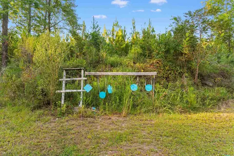 Other - 160 Comanche Dr, Georgetown, SC 29440 photo 12 of 15