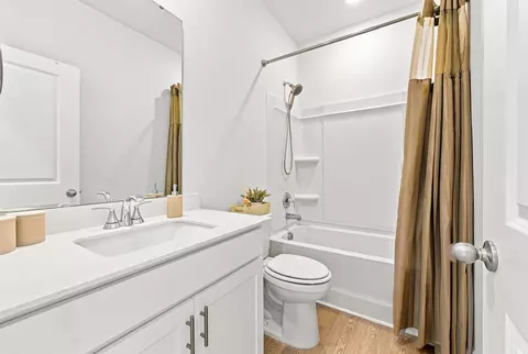Bath - 8224 Sparkle Dr, Longs, SC 29568 photo 3 of 3