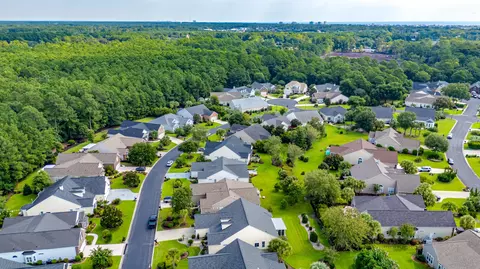 View/Area - 54 Saltwind Loop, Murrells Inlet, SC 29576 photo 8 of 15