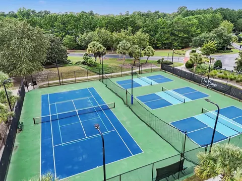 View/Area - 17 Springtime Ct, Murrells Inlet, SC 29576 photo 2 of 2