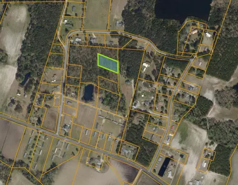tbd Douston Rd, Loris, SC 29569 photo 2