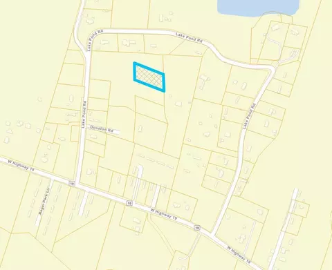 tbd Douston Rd, Loris, SC 29569 photo 3