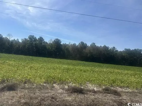 Tansy Rd., Loris, SC 29569 photo 2