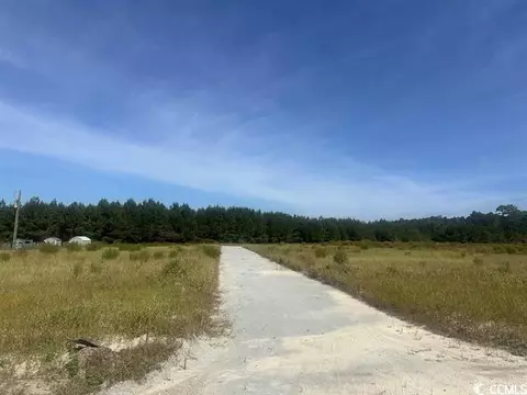 Tansy Rd., Loris, SC 29569 photo 3