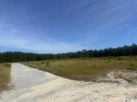 Tansy Rd., Loris, SC 29569 photo 5