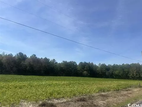 Tansy Rd., Loris, SC 29569 photo 4