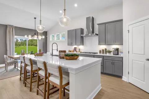 Kitchen - 229 River Birch Dr, Loris, SC 29569 photo 3 of 5