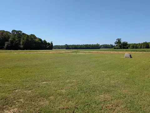 Exterior - 1174 Justice Loop, Loris, SC 29569 photo 6 of 10