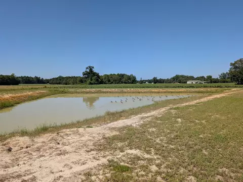 View/Area - 1174 Justice Loop, Loris, SC 29569 photo 1 of 1