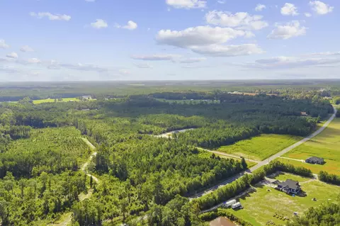 lot10 Ellwood Rd, Galivants Ferry, SC 29544
