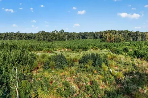 tbd Albatross Rd, Georgetown, SC 29440 photo 13