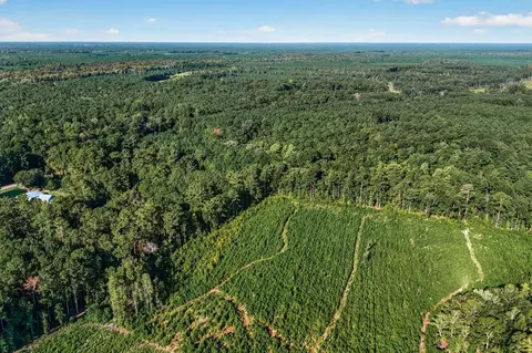 tbd Albatross Rd, Georgetown, SC 29440 photo 12