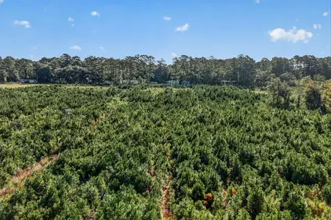 tbd Albatross Rd, Georgetown, SC 29440 photo 8