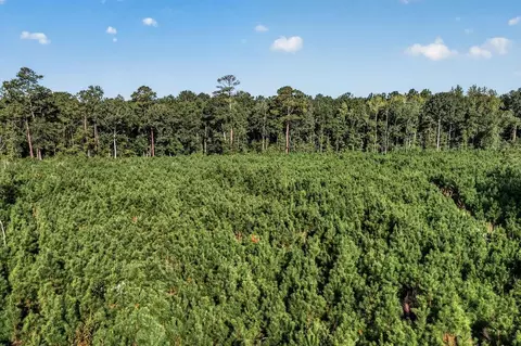 tbd Albatross Rd, Georgetown, SC 29440 photo 7