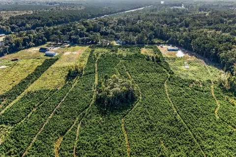 tbd Albatross Rd, Georgetown, SC 29440 photo 6