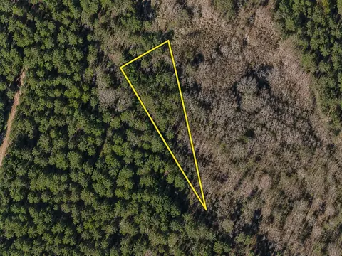 tbd Gibson Rd, Greeleyville, SC 29056