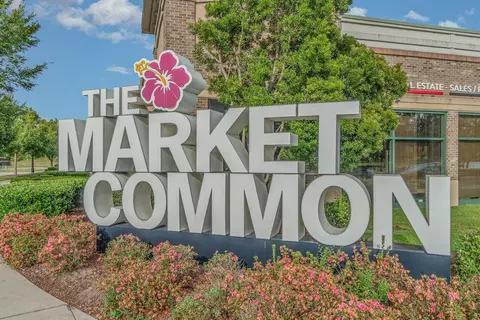 Other - 2439 Blue Crane Cir, Myrtle Beach, SC 29577 photo 8 of 10