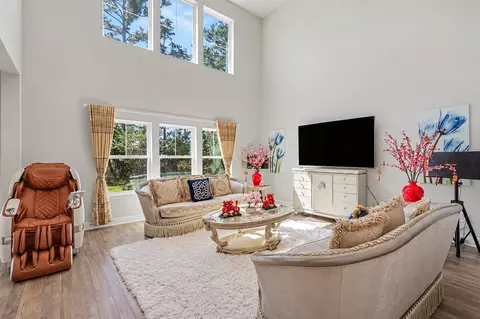 Living - 2439 Blue Crane Cir, Myrtle Beach, SC 29577 photo 1 of 1