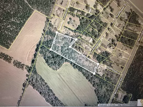 Sunflower Dr., Cades, SC 29518