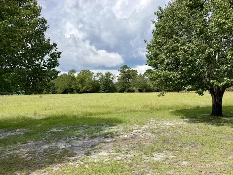 tbd Holly View Ln, Loris, SC 29569 photo 2