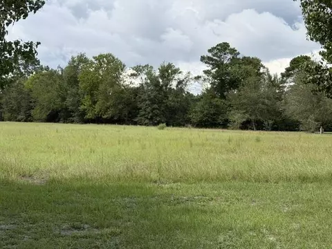 tbd Holly View Ln, Loris, SC 29569 photo 4