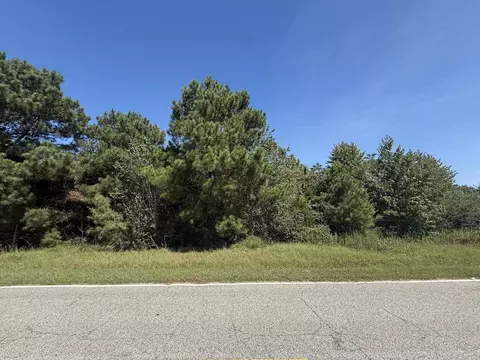 tbd Black Branch Rd, Dillon, SC 29536 photo 3