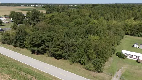 tbd Black Branch Rd, Dillon, SC 29536 photo 6