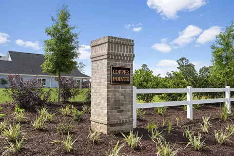 View/Area - 192 Copper Pointe Loop, Conway, SC 29526 photo 1 of 2