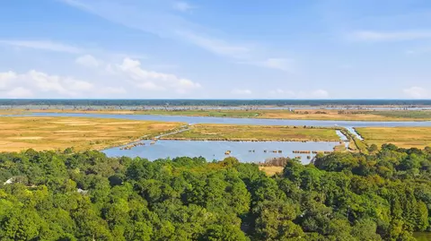 View/Area - 815 3rd Ave, Georgetown, SC 29440 photo 3 of 6