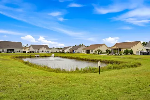 Exterior - 223 Palm Terrace Loop, Conway, SC 29526 photo 7 of 13