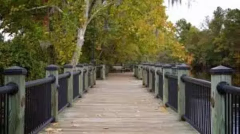 Other - 1074 Cherrystone Loop, Conway, SC 29526 photo 10 of 15