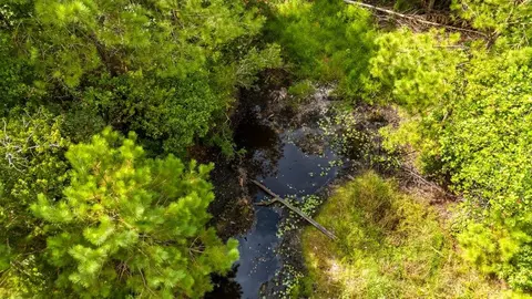 View/Area - 1876 Nathan Dr, Loris, SC 29569 photo 5 of 6