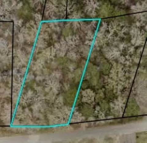 tbd Mckenzie Cir, Pawleys Island, SC 29585