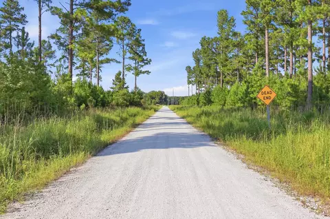 2545 Wigley Rd, Loris, SC 29569 photo 27