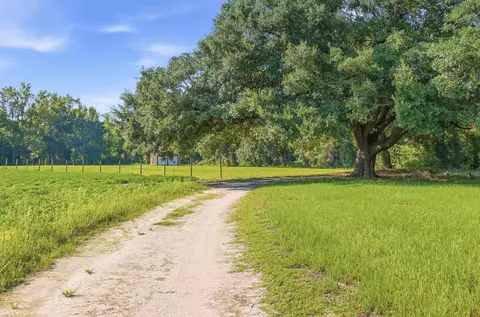 2545 Wigley Rd, Loris, SC 29569 photo 25