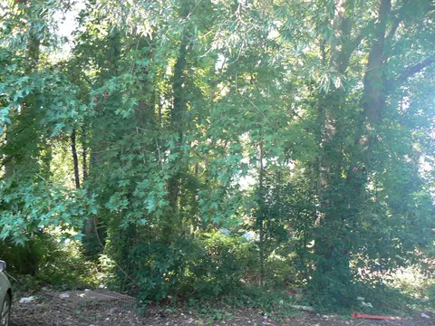 1405 Shavis Ct, Myrtle Beach, SC 29577