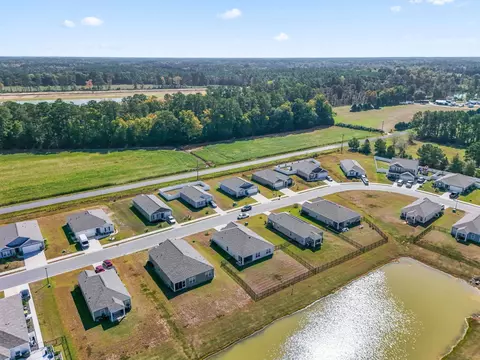 View/Area - 1031 Corn Husk Loop, Conway, SC 29527 photo 7 of 7