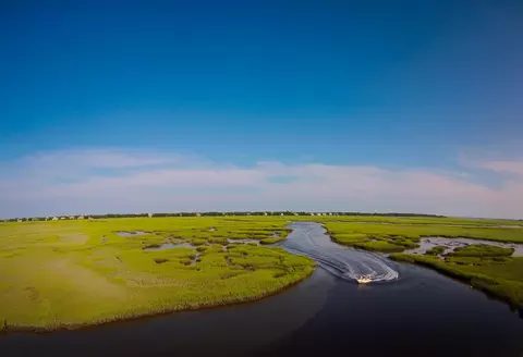 View/Area - 149 Sanderling Ave, Georgetown, SC 29440 photo 10 of 11