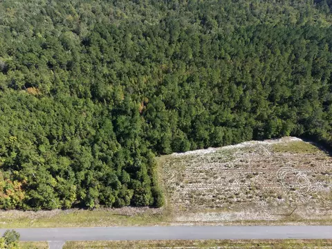 tbd Maplewild Rd, Nichols, SC 29581 photo 6