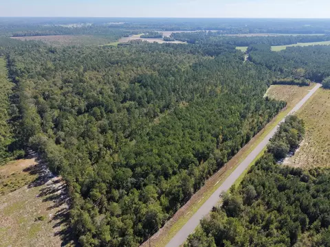tbd Maplewild Rd, Nichols, SC 29581 photo 4