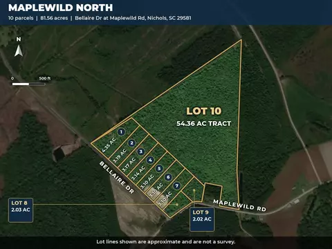 tbd Maplewild Rd, Nichols, SC 29581 photo 2