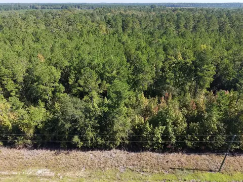 tbd Maplewild Rd, Nichols, SC 29581 photo 7