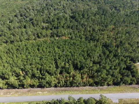 tbd Maplewild Rd, Nichols, SC 29581 photo 8