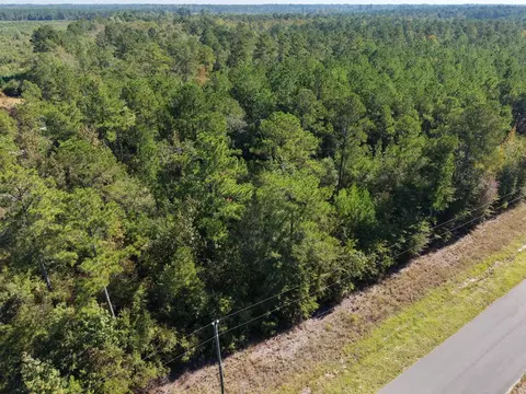 tbd Maplewild Rd, Nichols, SC 29581 photo 5