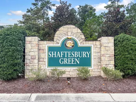 Other - 176 Dunbarton Ln, Conway, SC 29526 photo 9 of 9