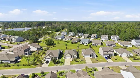 View/Area - 192 Long Leaf Pine Dr, Conway, SC 29526 photo 6 of 17